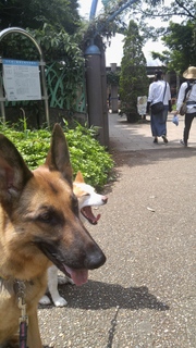 20160515_100122.jpg