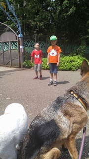 20160515_100138.jpg