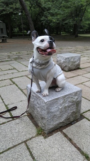 20160525_085839.jpg