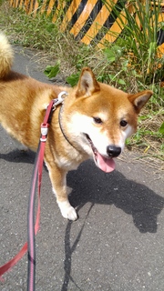 20160711_140451.jpg