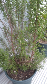 20160903_165134.jpg