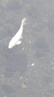 20170625_141414.jpg