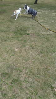 20171110_121004.jpg