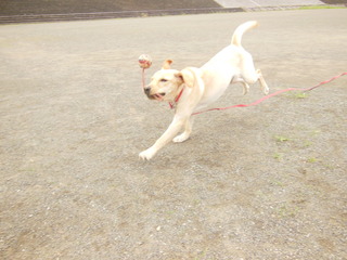 DSCN2623.JPG