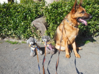 DSCN5254.JPG