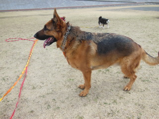 DSCN5277.JPG